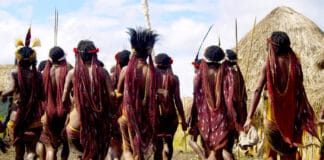 Dünyadaki İlginç Kabileler Dani Kabilesi