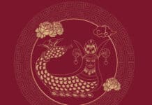 Şahmaran Dizisi ve Şahmaran Efsanesi  Şahmaran