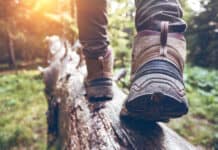 Bahar Ayında Doğa Yürüyüşü Yapabileceğiniz 10 Rota