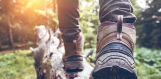 Bahar Ayında Doğa Yürüyüşü Yapabileceğiniz 10 Rota