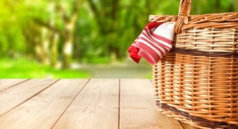 Piknik Keyfinizi Arşa Çıkaracak 10 Şey 