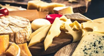 Dünyanın En Meşhur Peynirleri