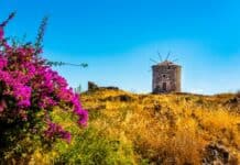 Ege’nin Saklı Cenneti: Cunda Adası