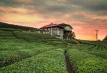 Kurban Bayramı’na Özel 9 Günlük Tatil Önerisi: Karadeniz Turu