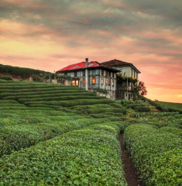 Kurban Bayramı’na Özel 9 Günlük Tatil Önerisi: Karadeniz Turu Rize