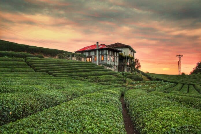 Kurban Bayramı’na Özel 9 Günlük Tatil Önerisi: Karadeniz Turu Rize