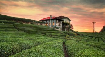 Kurban Bayramı’na Özel 9 Günlük Tatil Önerisi: Karadeniz Turu