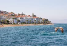 Adaların İncisi Büyükada’da Keyifli Vakit Geçirmek İçin Yapılacak 9 Şey