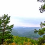 View from Ida or Kaz Mountain Kaz daglar on Altinoluk town in Balikesir provinceTurkey