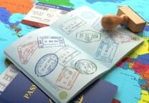 Dünyadaki Tüm Vize Türleri