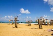 İstanbul’a Yakın Denize Girilebilecek Yerler