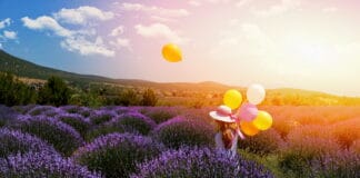 Türkiye’deki Hasat Rotaları