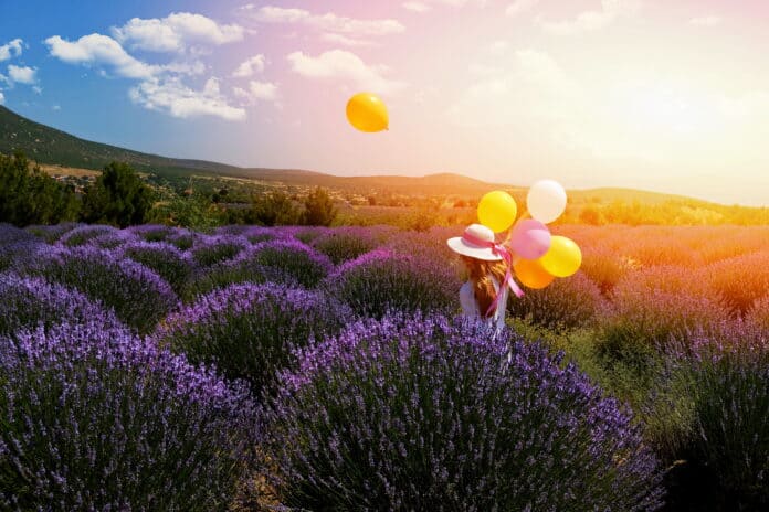 Türkiye’deki Hasat Rotaları