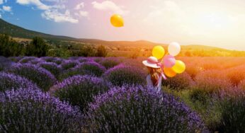 <strong>Türkiye’deki Hasat Rotaları</strong>