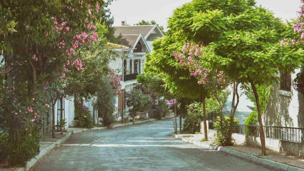 Büyükada