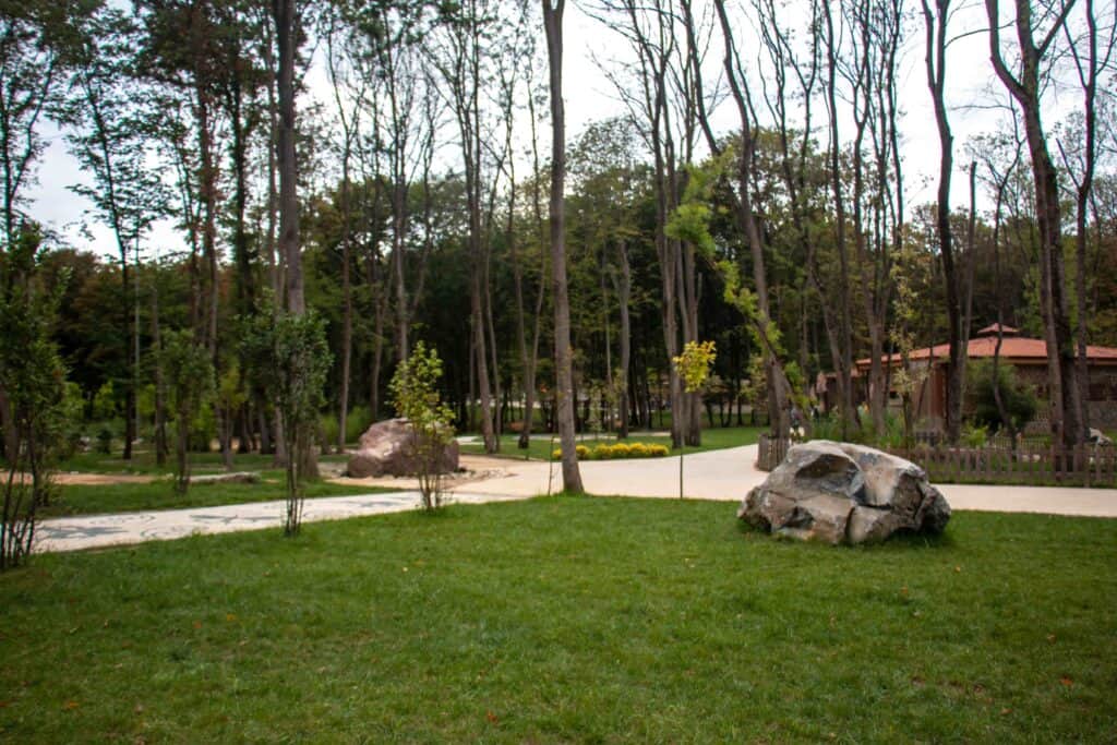 Ormanya Doğal Yaşam Parkı