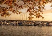 48 Saat 1 Rota: Dikili 48 Saat 1 Rota: Dikili