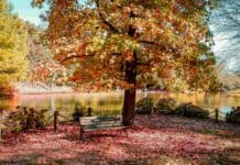 İstanbul Atatürk Arboretumu İstanbul Atatürk Arboretumu Nerede?