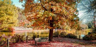 İstanbul Atatürk Arboretumu Nerede?