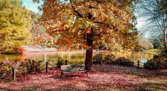 İstanbul Atatürk Arboretumu