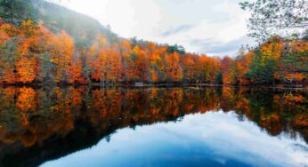 <strong>Yedigöller’de Kamp Yapacakların Bilmesi Gerekenler</strong>