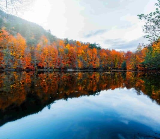 Yedigöller’de Kamp Yapacakların Bilmesi Gerekenler Yedigöller'de Kamp Yapacakların Bilmesi Gerekenler