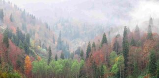 Sonbaharda Kamp İçin Gidebileceğiniz 10 Yer Sonbaharda Kamp İçin Gidebileceğiniz 10 Yer