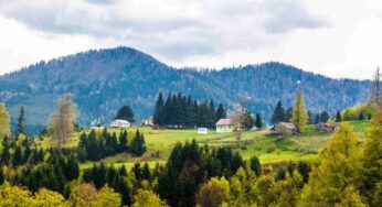 Yemyeşil Bir Cennet: Düzce Yaylaları