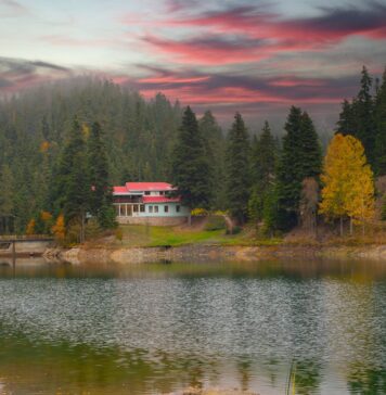 Sinop Tatil Yerleri: Denizin ve Yeşilin En Güzel Hali Sinop Tatil Yerleri: Denizin ve Yeşilin En Güzel Hali