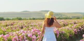 Isparta Gül Festivali: Güllerin Büyüleyici Dünyasına Adım Atın Isparta Gül Festivali: Güllerin Büyüleyici Dünyasına Adım Atın