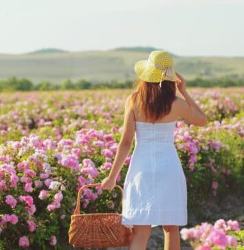 Isparta Gül Festivali: Güllerin Büyüleyici Dünyasına Adım Atın Isparta Gül Festivali: Güllerin Büyüleyici Dünyasına Adım Atın
