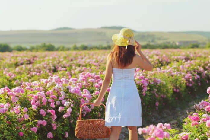 Isparta Gül Festivali: Güllerin Büyüleyici Dünyasına Adım Atın Isparta Gül Festivali: Güllerin Büyüleyici Dünyasına Adım Atın
