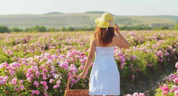 <strong>Isparta Gül Festivali: Güllerin Büyüleyici Dünyasına Adım Atın</strong>