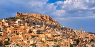 Mardin Kalesi