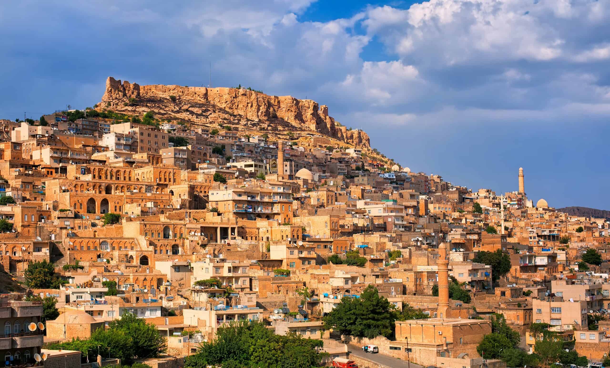 Mardin Kalesi