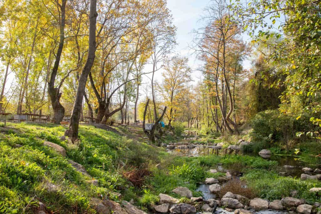 Keyifli Bir Piknik Etkinliği İçin Tercih Edebilirsiniz