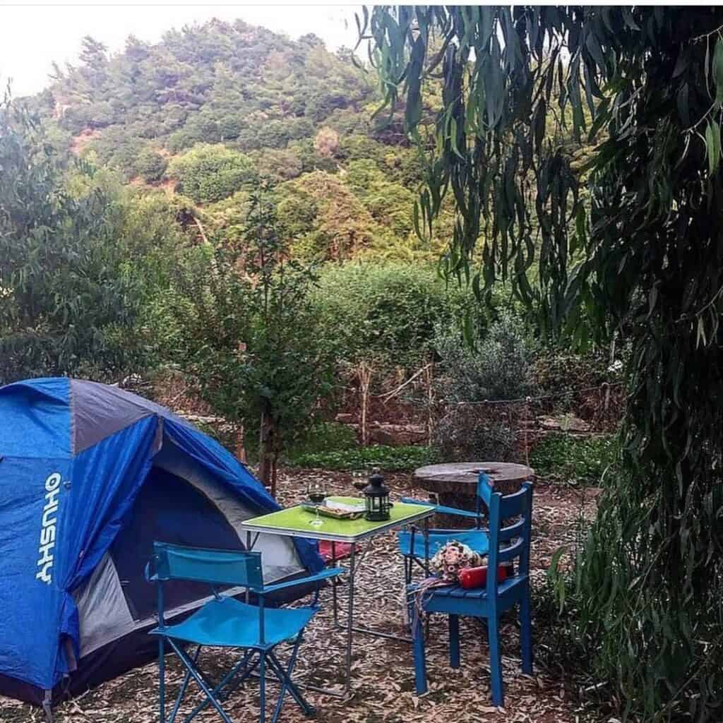 Ilıman Camping