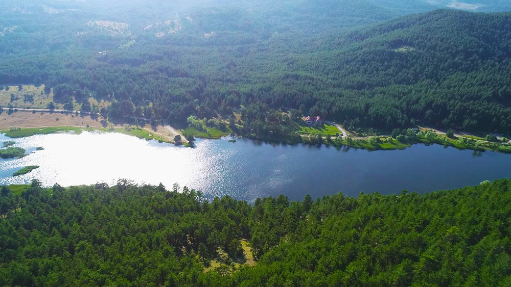 Çamkoru Tabiat Parkı, Çamlıdere