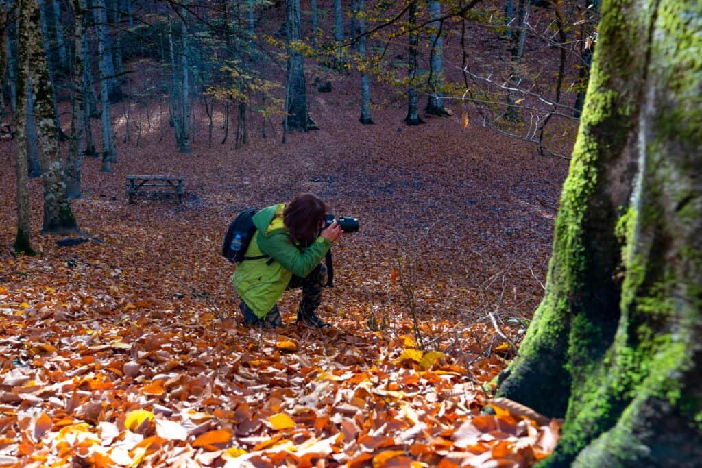 Harika Fotoğraflar Çekin