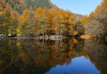 Yedigöller’de Gezilecek Yerler ve Yapılacak Şeyler Derin Göl