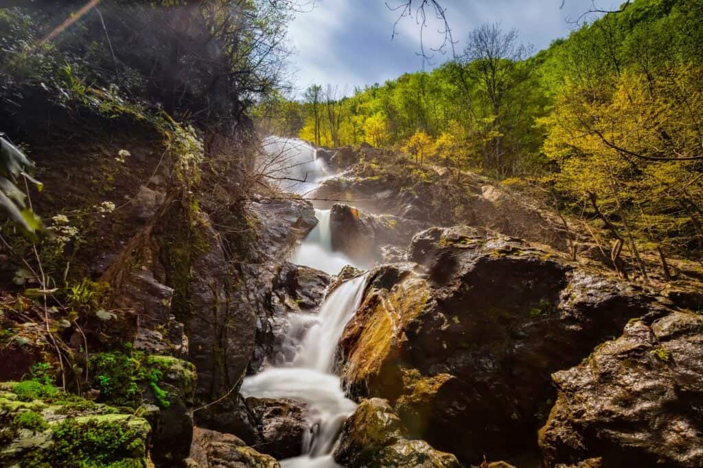 Yalova - Erikli Şelalesi Kamp Alanı