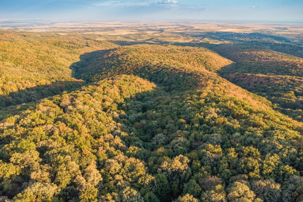  Fruska Gora Ulusal Parkı