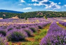 Isparta Gezilecek Yerler: Mutlaka Görmeniz Gereken 29 Harika Yer Kuyucak Köyü