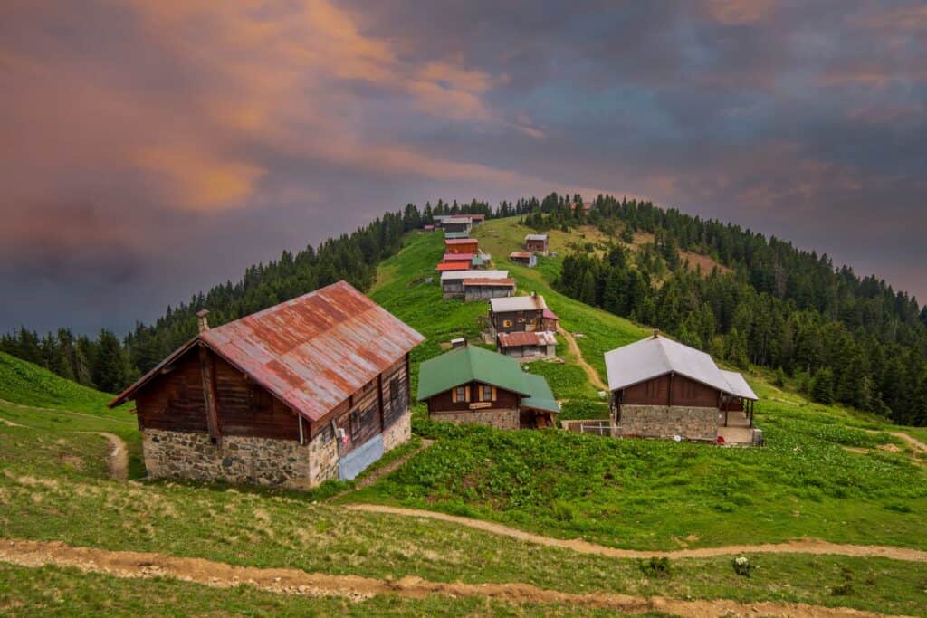 Pokut Yaylası