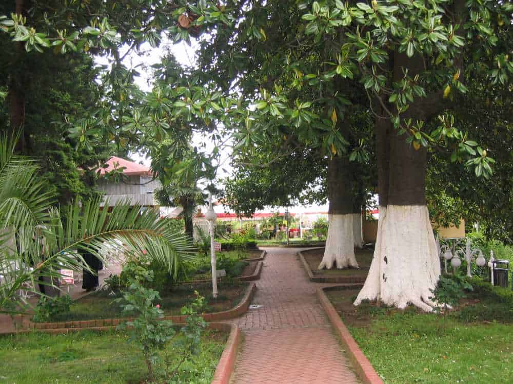  Ziraat Çay Bahçesi