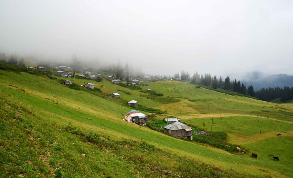 Gölyanı Yaylası