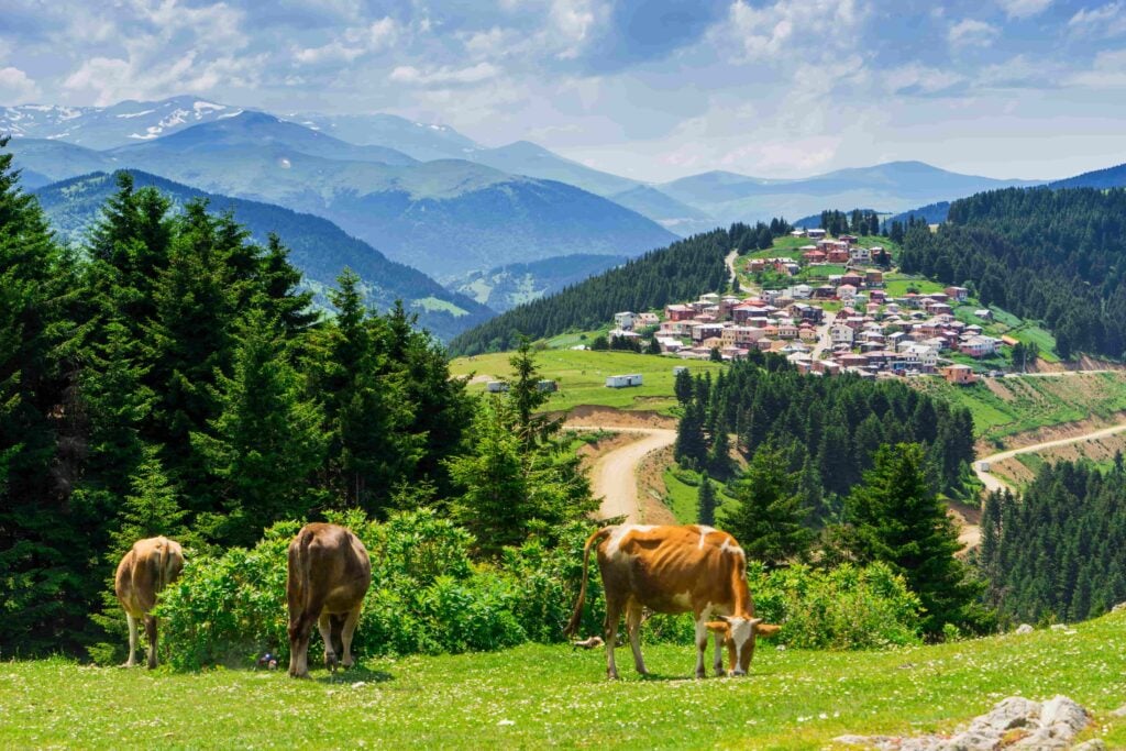 Kümbet Yaylası