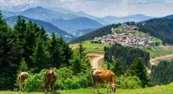 Giresun Gezilecek Yerler: 2025’te Zi̇yaret Edilecek En Güzel 30 Yer
