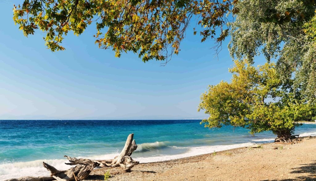Kavaklıburun Koyu