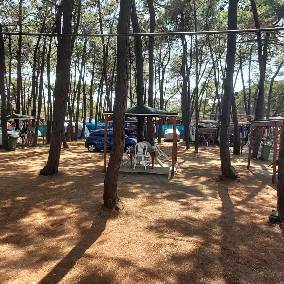 Erikli Camping